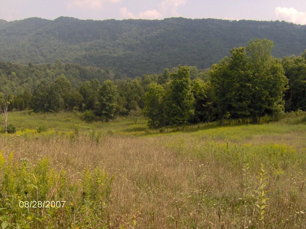 448 Acres Russel County